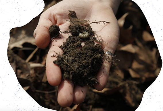 Between Soil Biographies and Soil Testing – Open Soil Atlas meet-up, Berlin 2025.